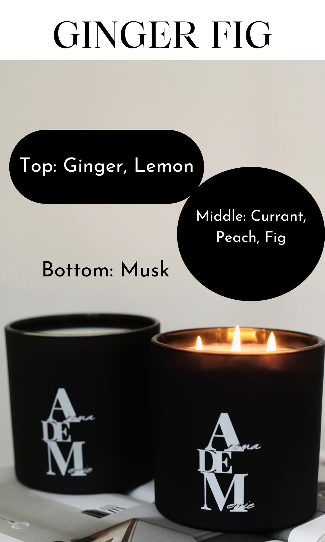 GINGER FIG