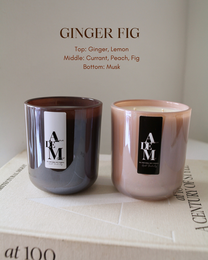 GINGER FIG